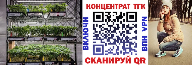 где купить наркоту  Жиздра  Дистиллят ТГК вейп 