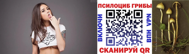 Псилоцибиновые грибы Psilocybe  что такое наркотик  Жиздра 