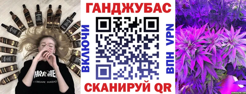 купить закладку  Жиздра  Канабис план 